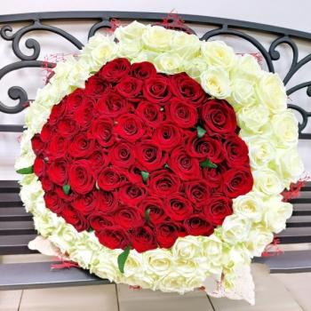 Букет 101 красно-белая роза артикул  213817orbng