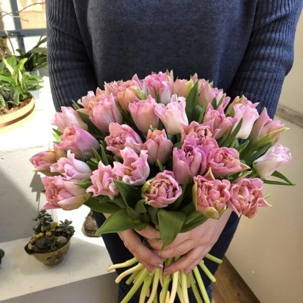 35 пионовидных розовых тюльпана