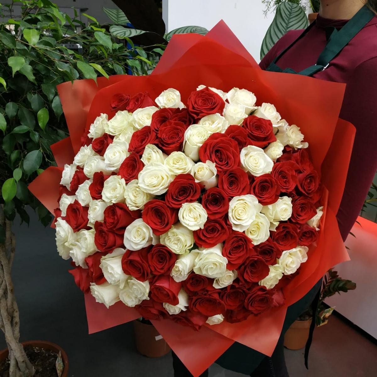 Букет из 101 розы (красные и белые розы) (код товара  124757orbng)